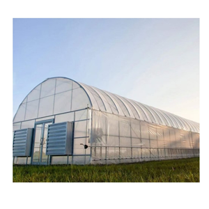 High Tunnel Arch Type Tunnel Plastic Greenhouse