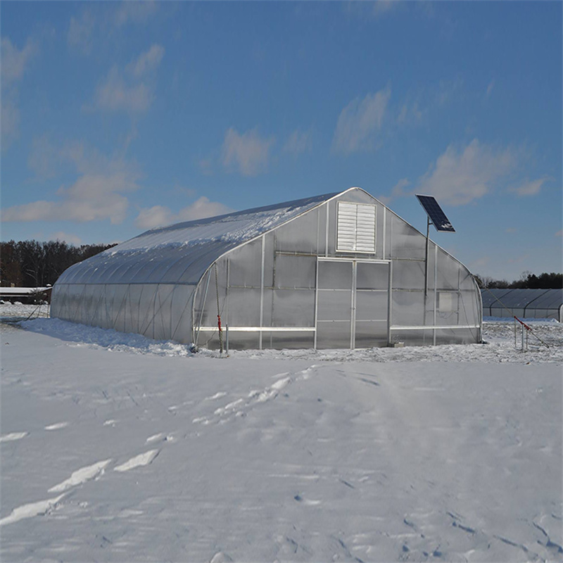 High Tunnel Arch Type Tunnel Plastic Greenhouse