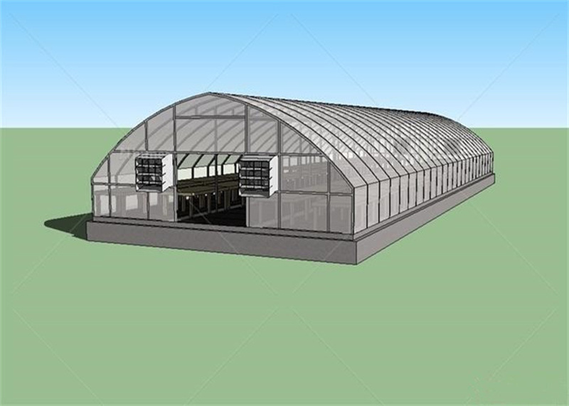 High Tunnel Arch Type Tunnel Plastic Greenhouse