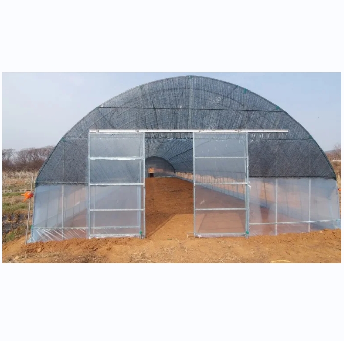 Single Span Plastic Film Tunnel Green House