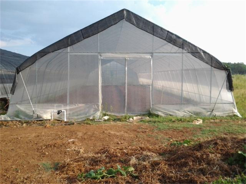 Single Span Plastic Film Tunnel Green House