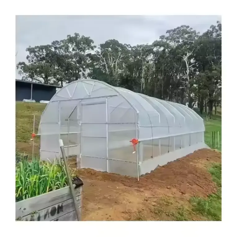 Single Span PE Film Low Tunnel Greenhouse