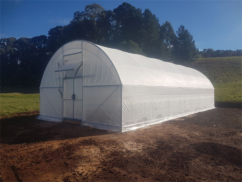 Single Span PE Film Low Tunnel Greenhouse