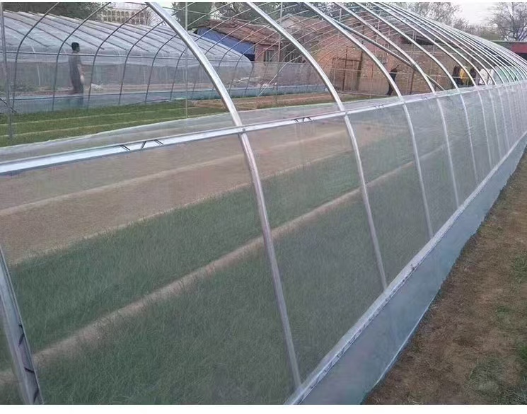 Single Tunnel Easy To Install Greenhouse