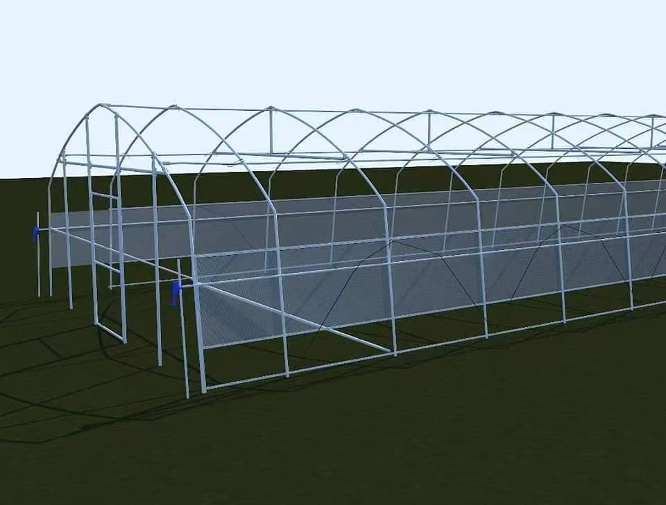 Single greenhouse