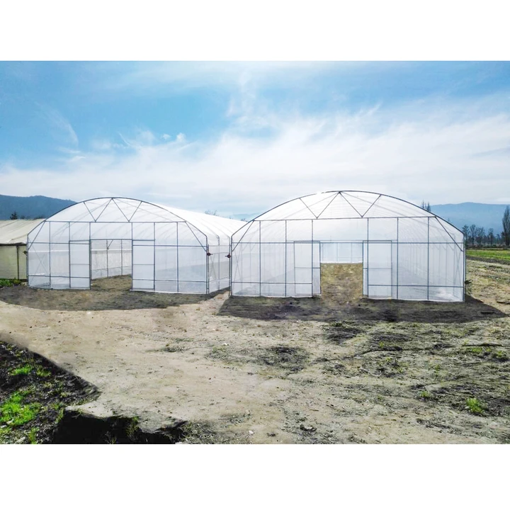 Simple Structure Hoop Greenhouse