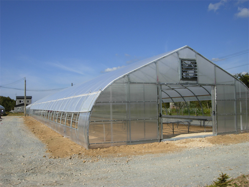 Simple Structure Hoop Greenhouse