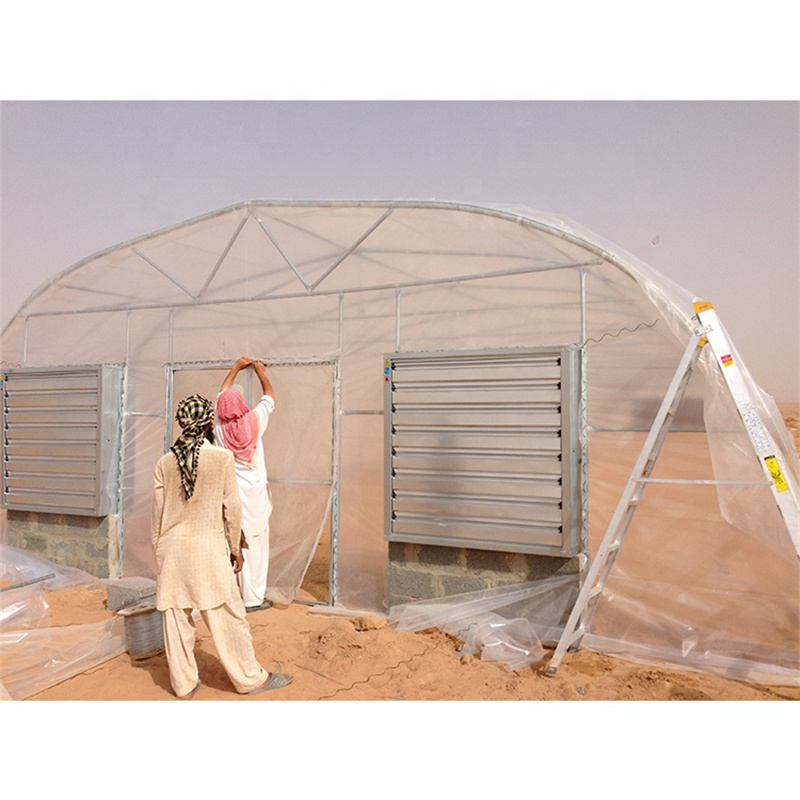 Simple Structure Hoop Greenhouse