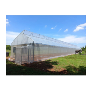 Poly Plastic Film Tunnel Greenhouse