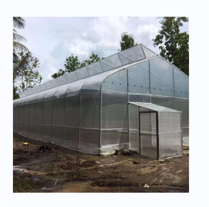 Poly Plastic Film Tunnel Greenhouse