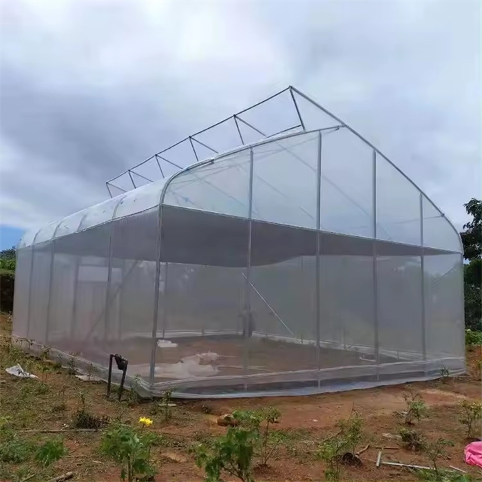 Poly Plastic Film Tunnel Greenhouse