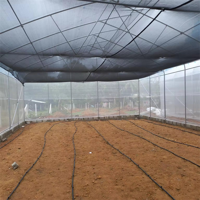 Poly Plastic Film Tunnel Greenhouse