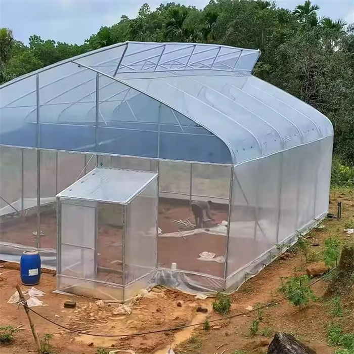 Poly Plastic Film Tunnel Greenhouse