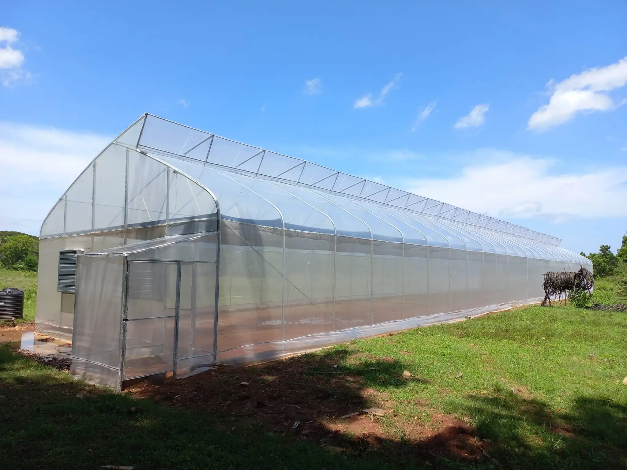 polytunnel greenhouse