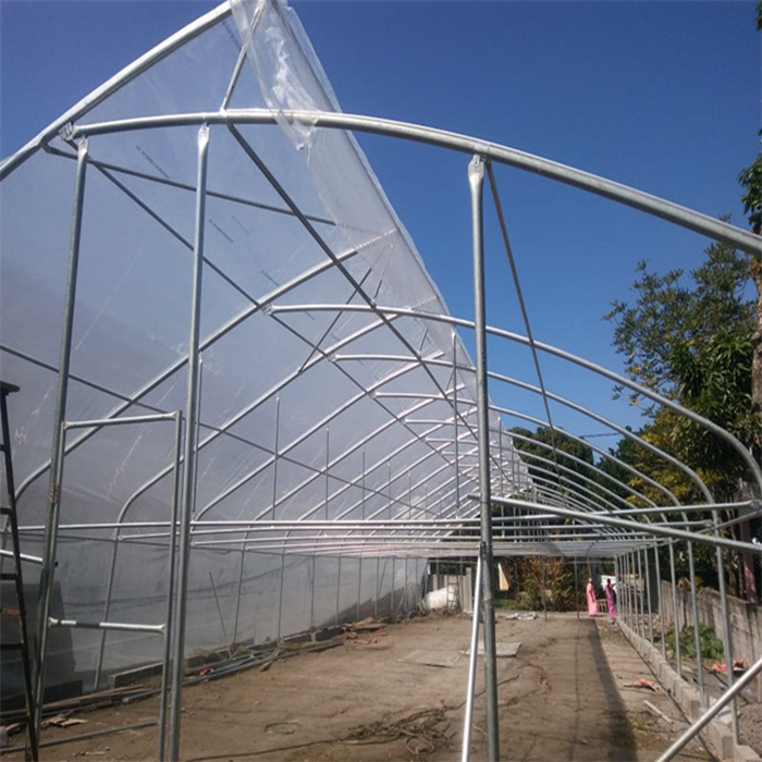 poly tunnel greenhouse