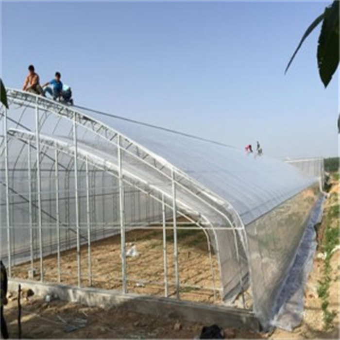 greenhouse blanket