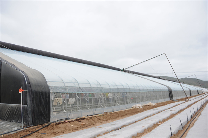 solar greenhouse