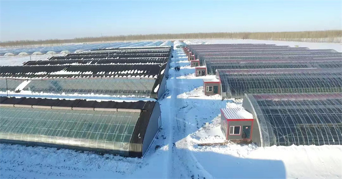 greenhouses for cold climates