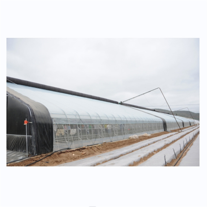 Solar Greenhouse For Winter Cold Cliamtes