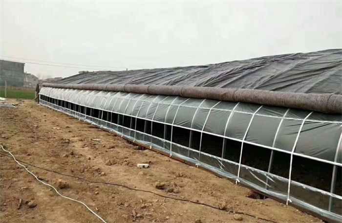 Solar Greenhouse For Winter Cold Cliamtes