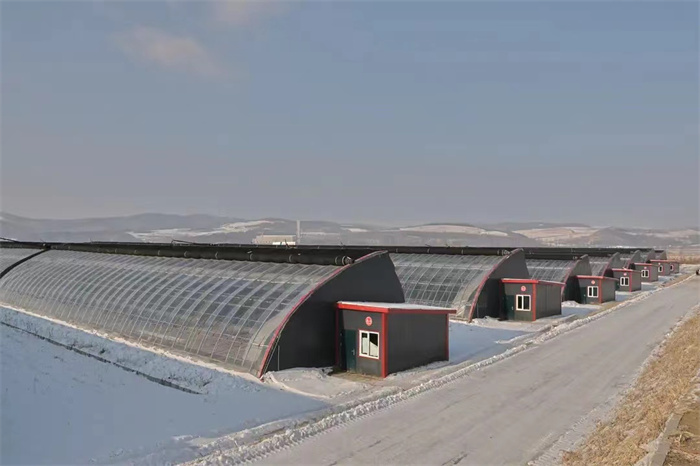 Solar Greenhouse For Winter Cold Cliamtes