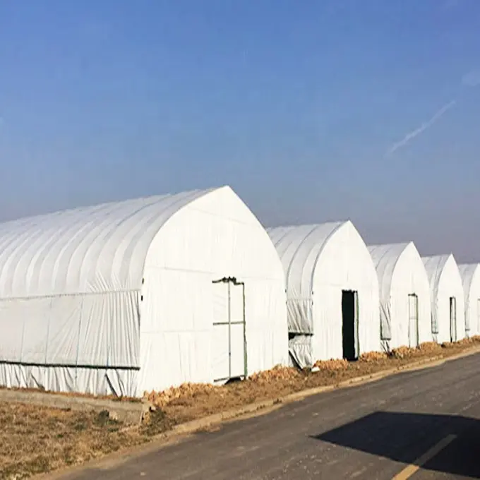 Blackout Medical Herb Greenhouse