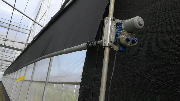 Blackout Medical Herb Greenhouse