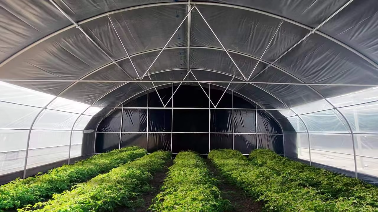 Light deprivation greenhouse