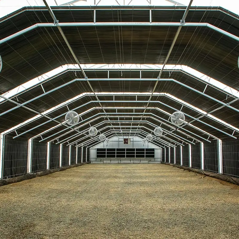 Hemp Greenhouse