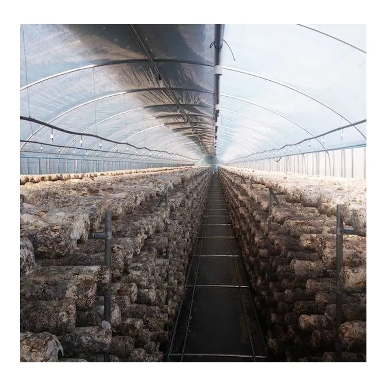 Mushroom Grow Greenhouse