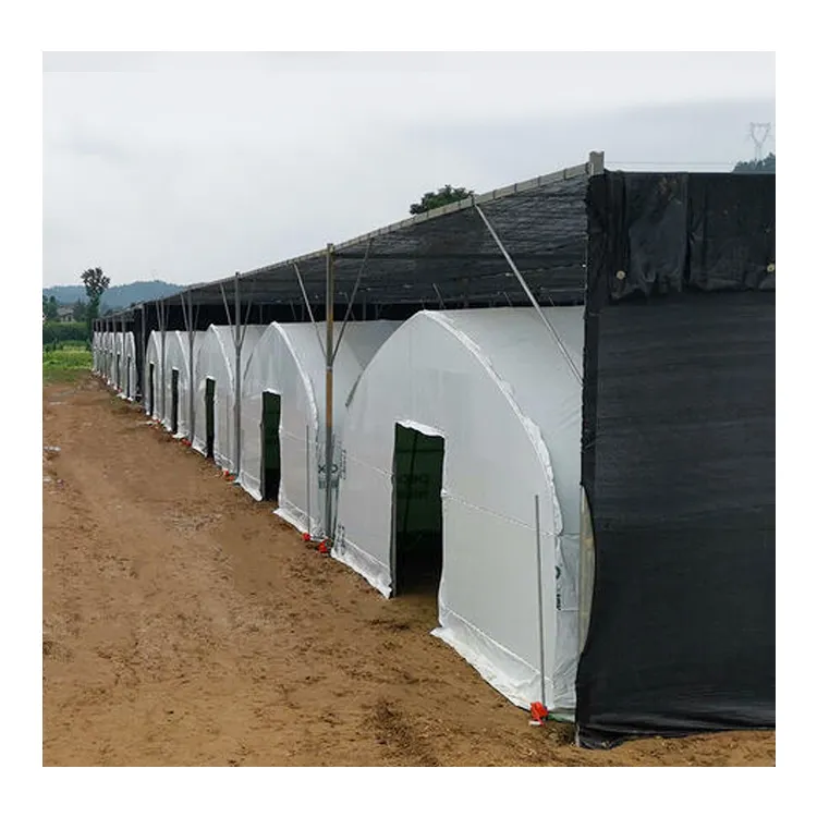 Mushroom Grow Greenhouse