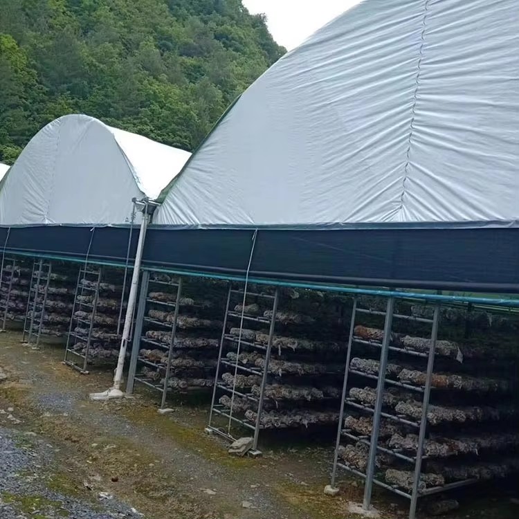 mushroom greenhouse