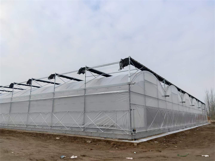 greenhouse