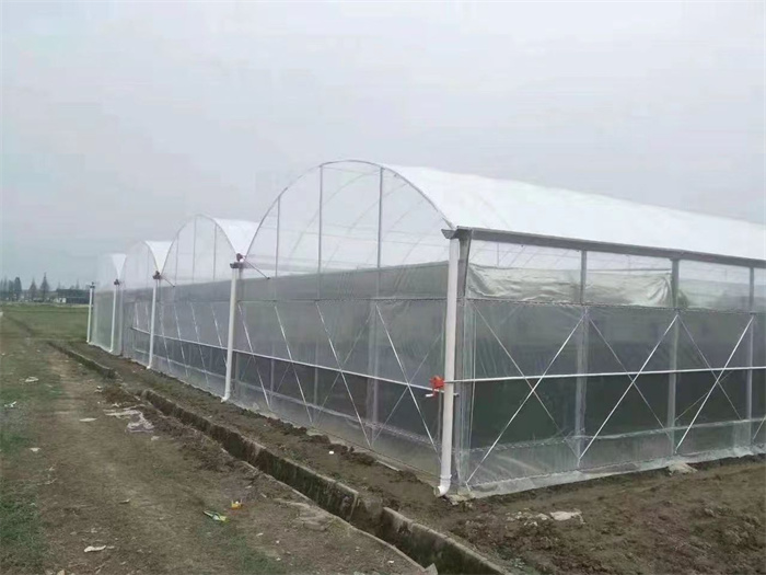 Comprar Invernadero de película multicapa, Invernadero de película multicapa Precios, Invernadero de película multicapa Marcas, Invernadero de película multicapa Fabricante, Invernadero de película multicapa Citas, Invernadero de película multicapa Empresa.