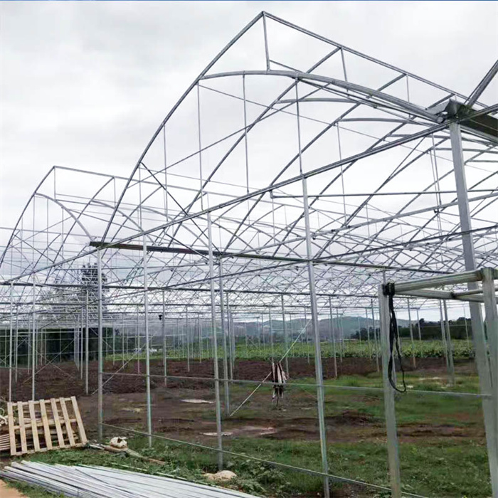 Multi Span Sawtooth Roof Ventilation Greenhouse