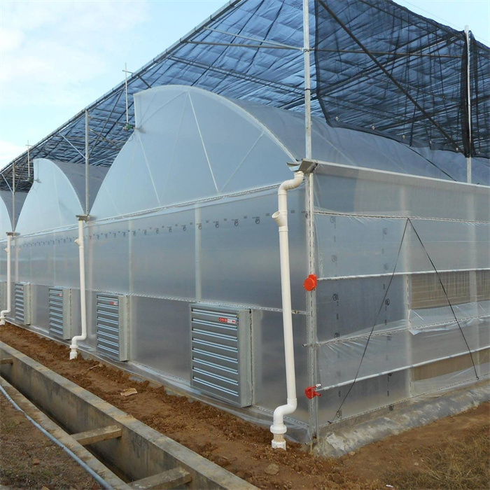 Multi Span Sawtooth Roof Ventilation Greenhouse