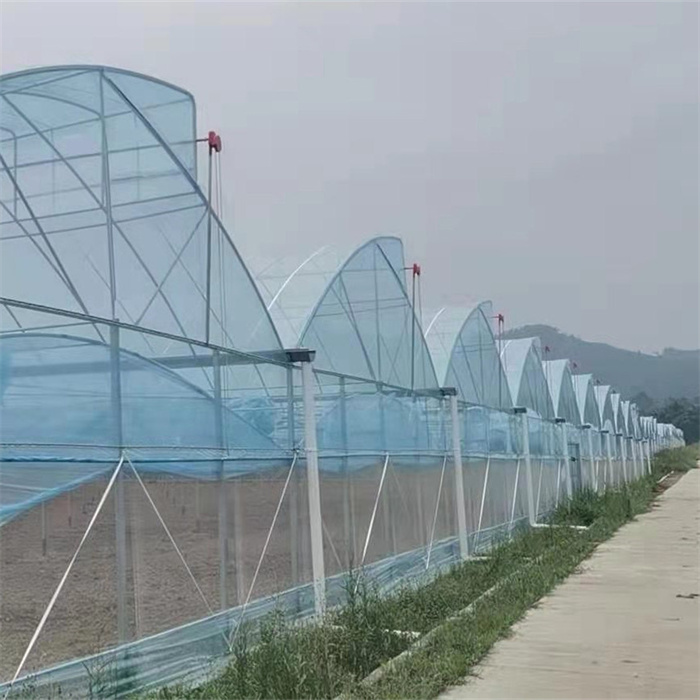 Multi Span Sawtooth Roof Ventilation Greenhouse