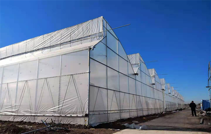 Multi Span Sawtooth Roof Ventilation Greenhouse