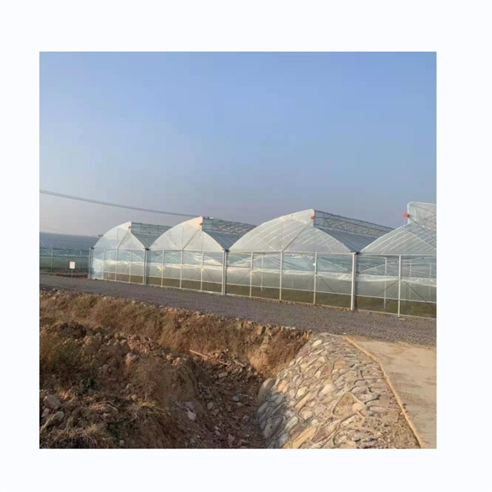 Multi Span Sawtooth Roof Ventilation Greenhouse