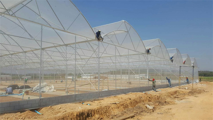 sawtooth roof vent greenhouse