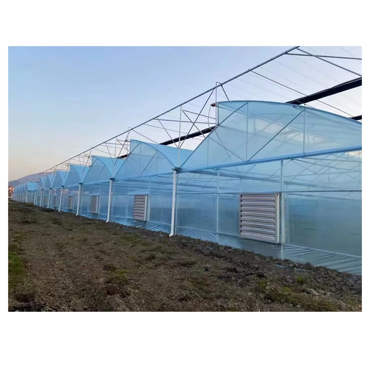 Saw Tooth Roof Vent Greenhouse