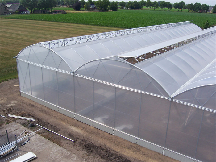 Saw Tooth Roof Vent Greenhouse