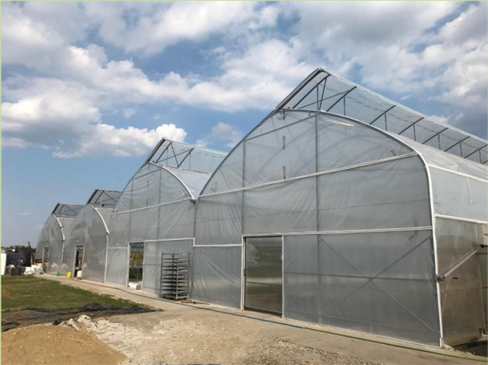 Saw Tooth Roof Vent Greenhouse