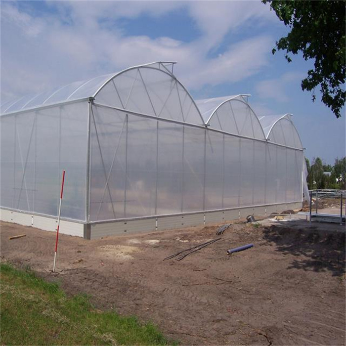 Saw Tooth Roof Vent Greenhouse