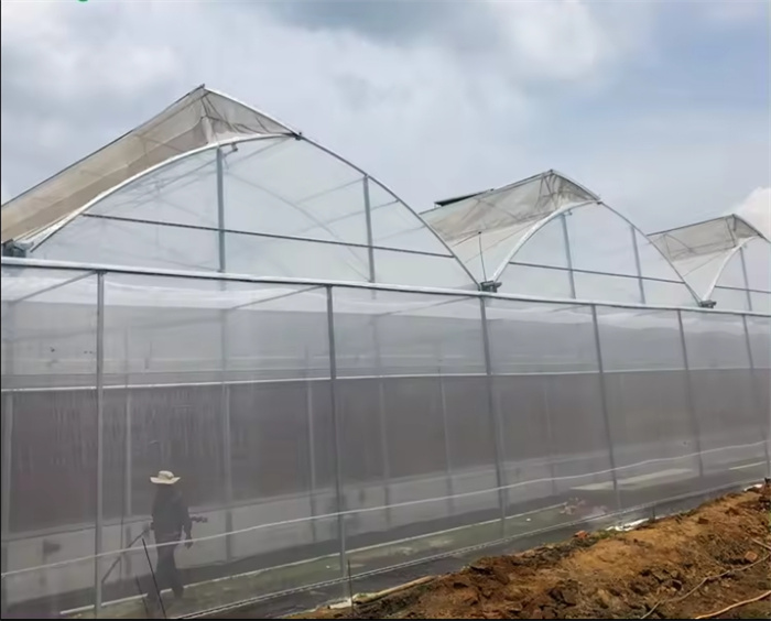 Saw Tooth Roof Vent Greenhouse