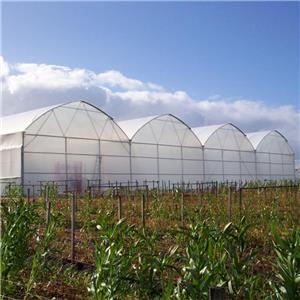 Commercial Plastic Film Greenhouse Equipment