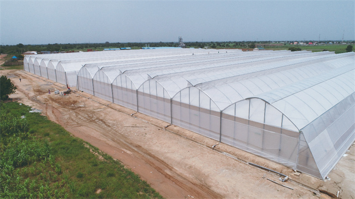 Commercial Plastic Film Greenhouse Equipment