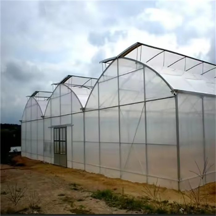 Large Greenhouse Turnkey Project Solution
