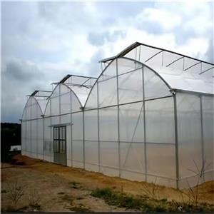 Large Greenhouse Turnkey Project Solution