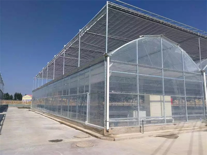 Large Greenhouse Turnkey Project Solution